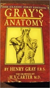 Front cover of the book Gray's Anatomy